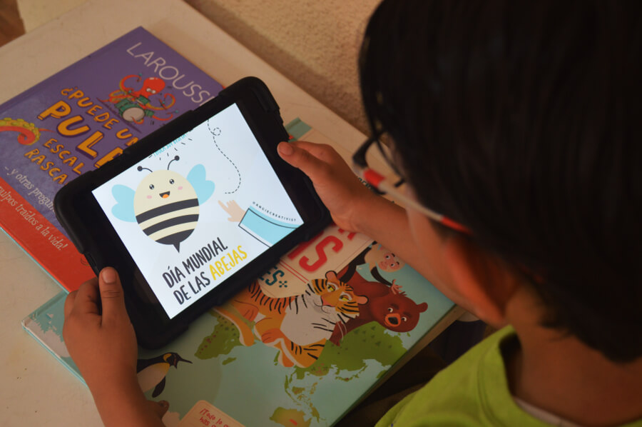 Día Mundial de las abejas -06