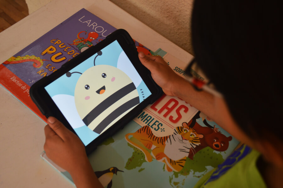 Día Mundial de las abejas -08