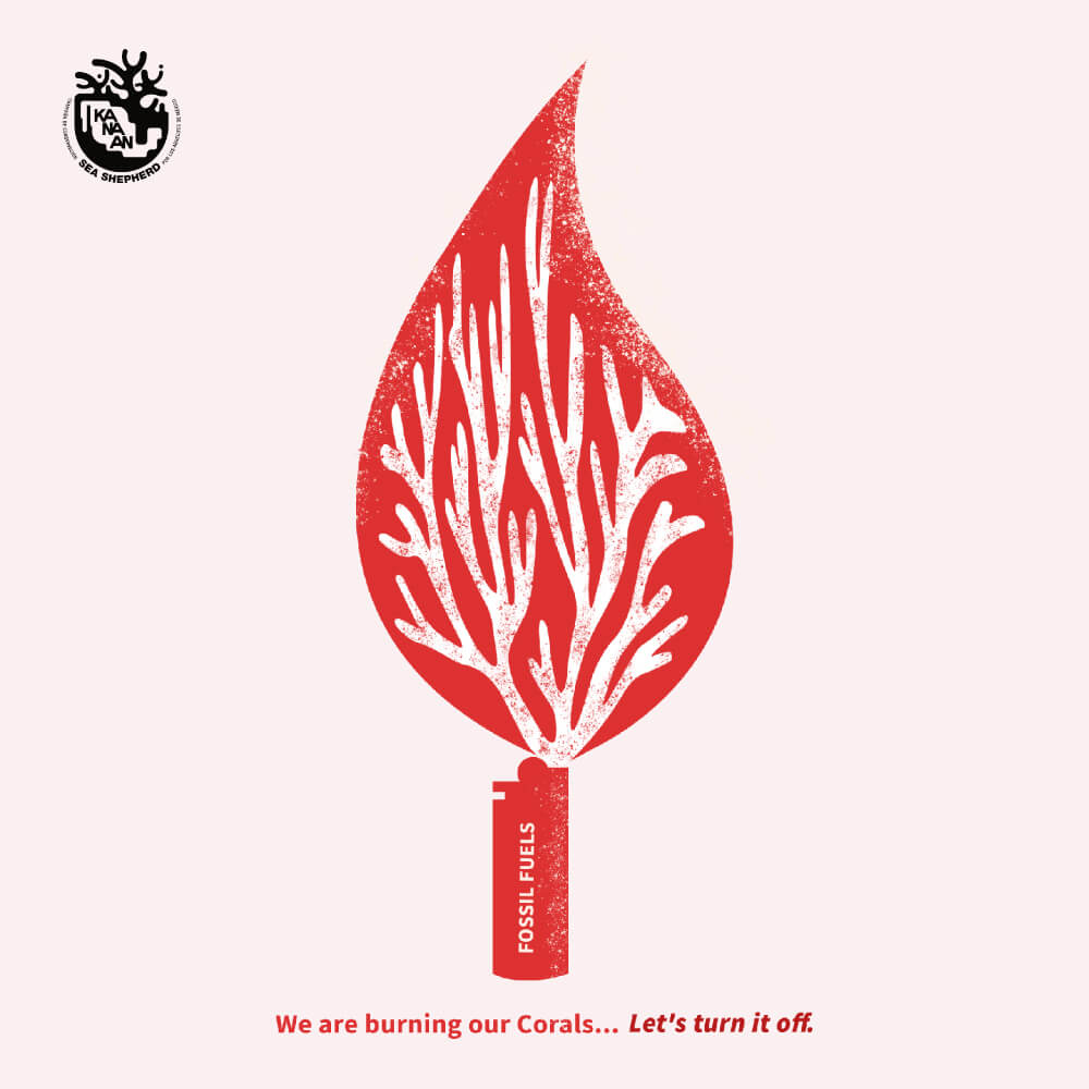 Let’s turn it off - Corals Campaign 01