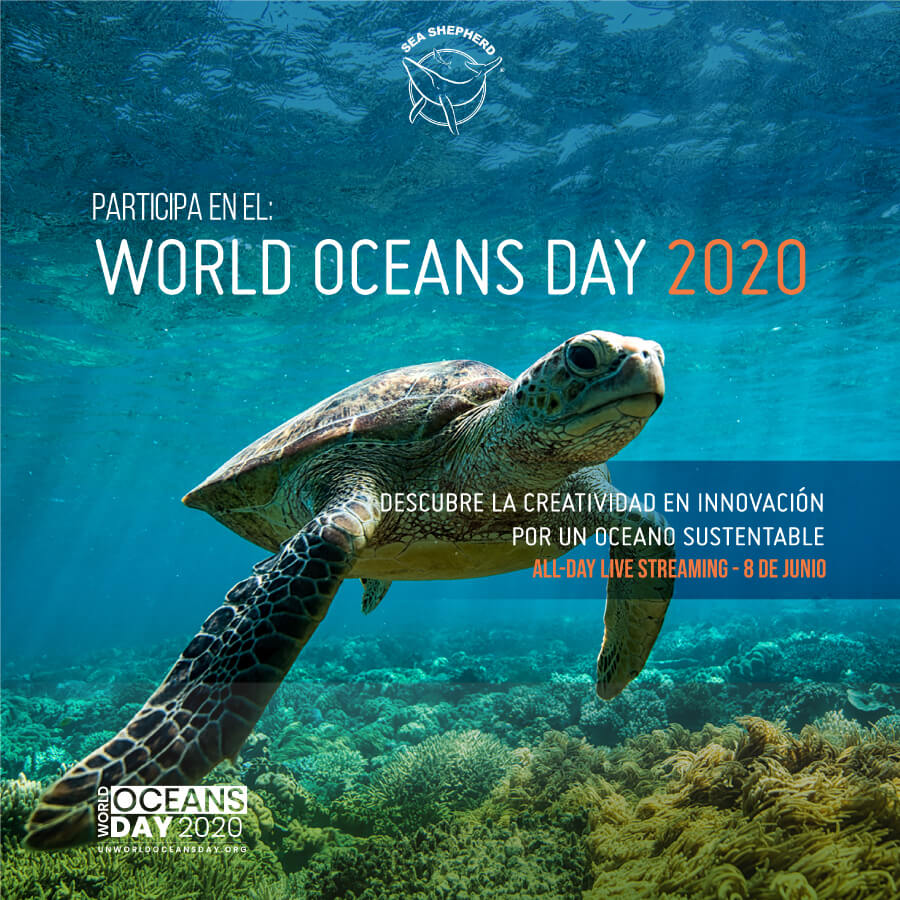 World Oceans Day - 01