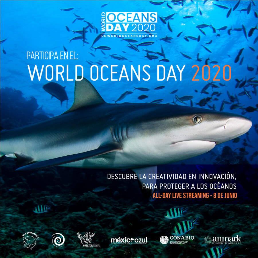 World Oceans Day - 02
