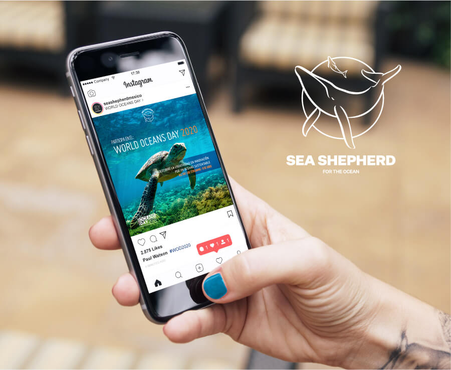 World Oceans Day - 04